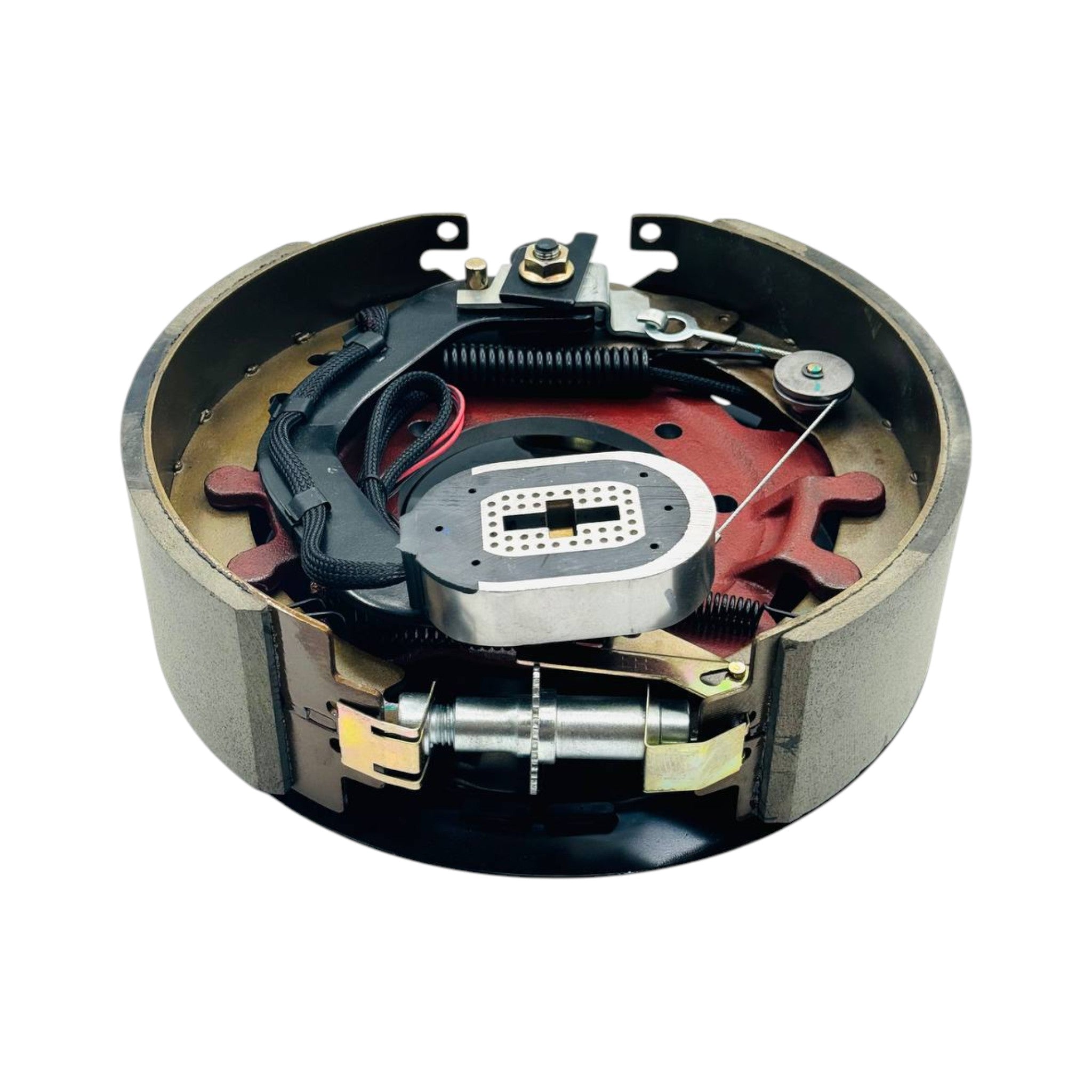 10000 lb Self-Adjusting Electric Trailer Brake Assembly Kit (Driver's Side)